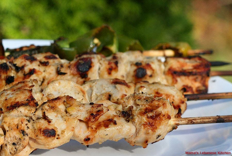 Shish Tawook (Red + White)